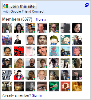 Google Friend Connect 